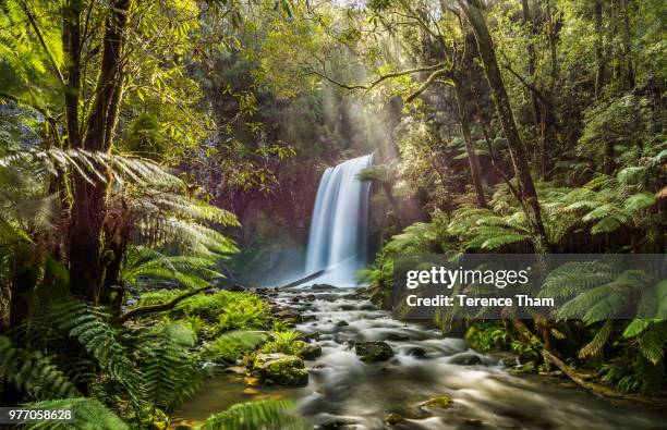 hopetoun falls, hopetoun falls, australia - creek stock pictures, royalty-free photos & images