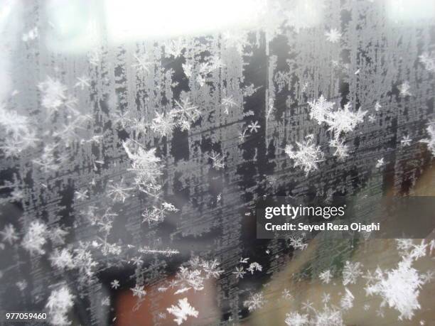 snow seeds on frozen glass - azerbaijan winter stock pictures, royalty-free photos & images