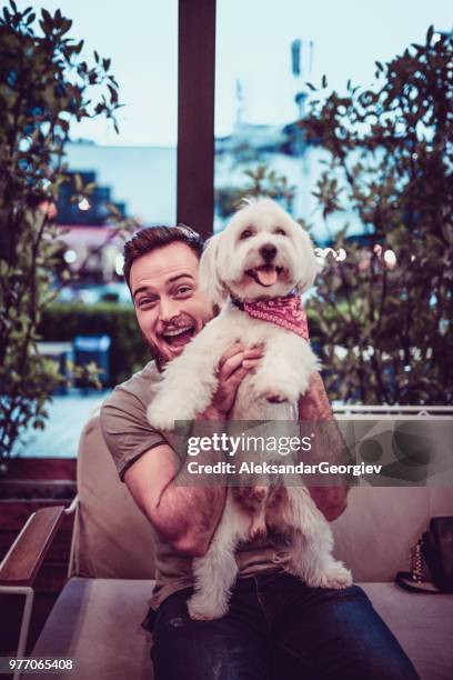 hübscher mann mit schoßhund zu hause spielen - beautiful male feet stock-fotos und bilder