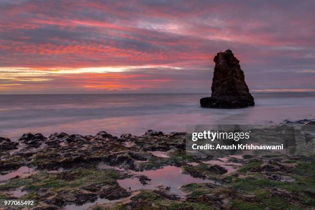 davenport sunset - dawn davenport 個照片及圖片檔