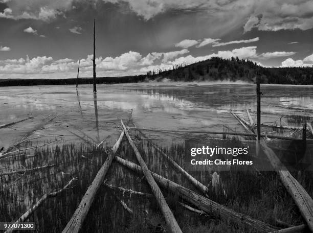 fallen logs on shore of geothermal spring in yellowstone national park, wyoming, usa - midway geyser basin stock-fotos und bilder