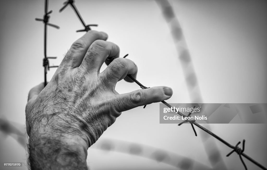 Hand touching barbed wire, Breendok, Belgium