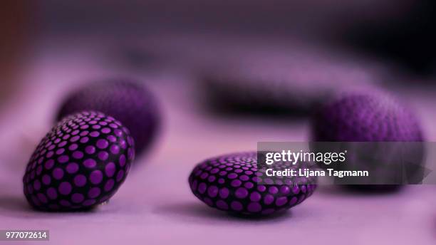 purple - thimble stock pictures, royalty-free photos & images