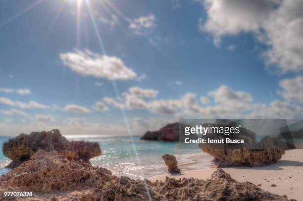 bermuda-angle beach - busca stock pictures, royalty-free photos & images
