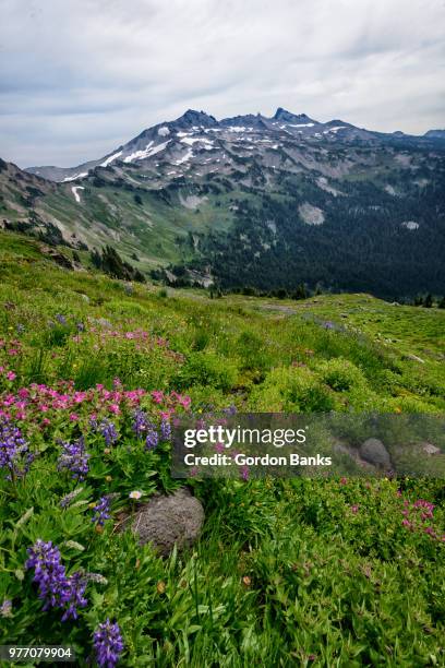 Goat Rocks Wilderness Photos and Premium High Res Pictures - Getty Images