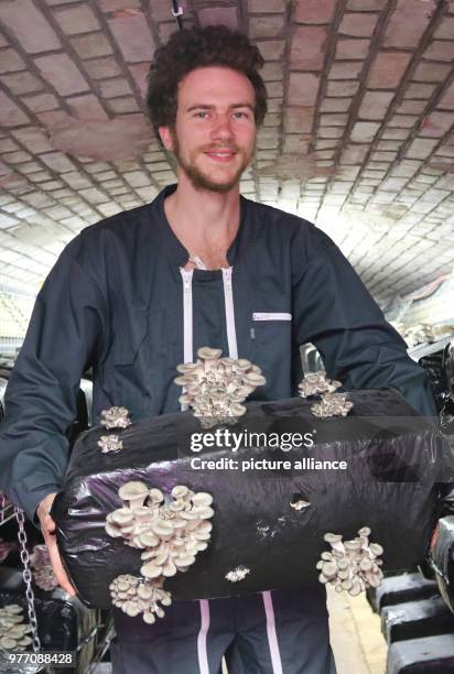 April 2018, Strasbourg, France: The farmer Raphael Maret shows self-bred mushrooms in an old Prussian military facility. The start-up "Bunker...