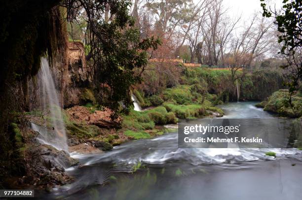 duden - duden stock-fotos und bilder