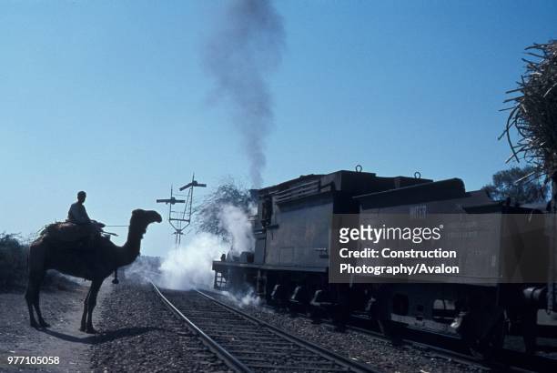 Tribesman with his camel waits to cross the track as a Pakistan Railways inside cylinder British built 0-6-0 passes with a heavy freight train on...