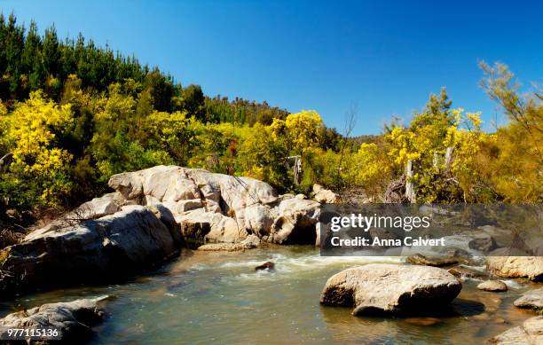 Colvert Rive 296 Calvert River Stock Photos, High-Res Pictures, and Images - Getty ...