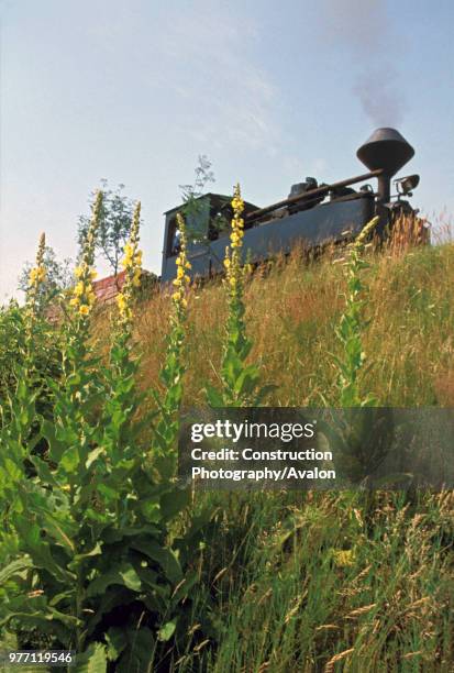 Germany's last active 600mm gauge Feldbahn 0-8-0T No 993316 seen with the Great Mallions on the clay carrying system at Bad Muskau on Wednesday 29...