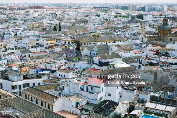 seville - espejo stock pictures, royalty-free photos & images