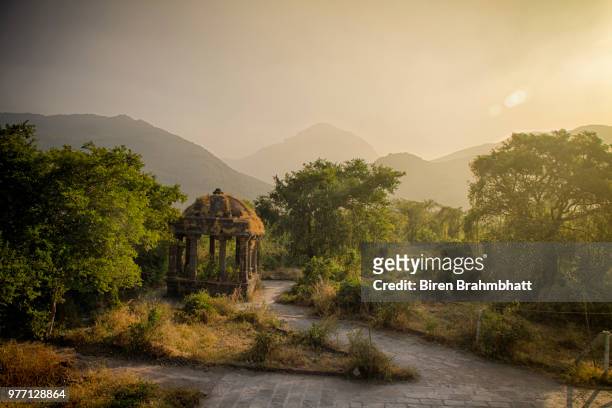 mesmerizing morning, uparkot fort, junagadh, gujarat - junagadh stockfoto's en -beelden