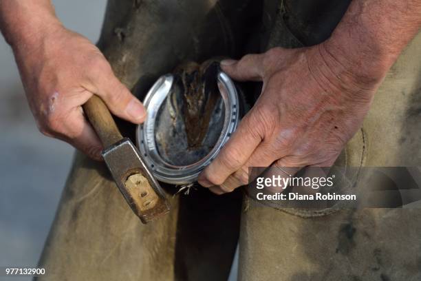 farrier shoeing a horse, churchill downs, kentucky - diana churchill fotografías e imágenes de stock