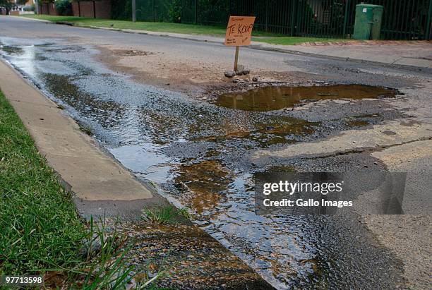 Two potholes in Kempton Park on the East Rand have been put up "for sale" in an effort to finance the repair of its crumbling roads on March 12, 2010...