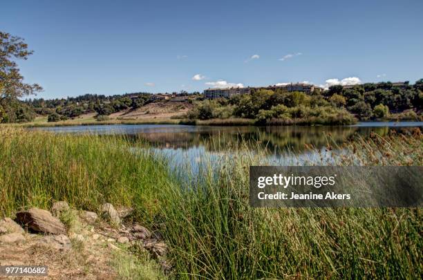 nagasawa park in santa rosa - nagasawa stock pictures, royalty-free photos & images