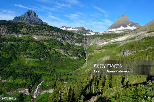 green hillside in glacier national park, montana, usa - logan pass imagens e fotografias de stock