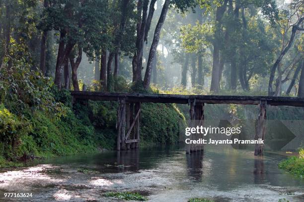 bridge on bania khal, chilapata forest dooars. - dooars stock pictures, royalty-free photos & images