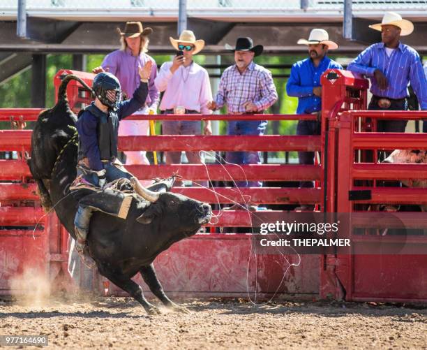 Bull Rodeo Front 1,063 Rodeo Bullfighter Stock Photos, High-Res Pictures, and Images ...