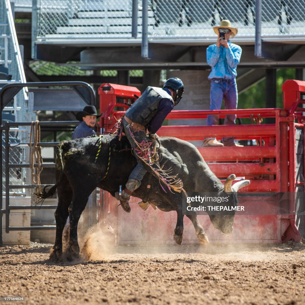 Caballo Rodeo Cowboy Bull Riding In Rodeo Arena High-Res Stock Photo - Getty Images