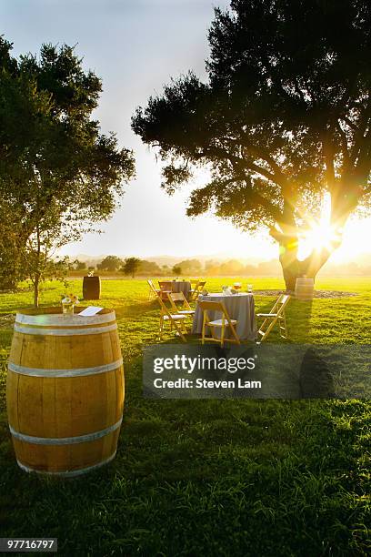 outdoor jewish wedding reception, winery - barrel stock-fotos und bilder