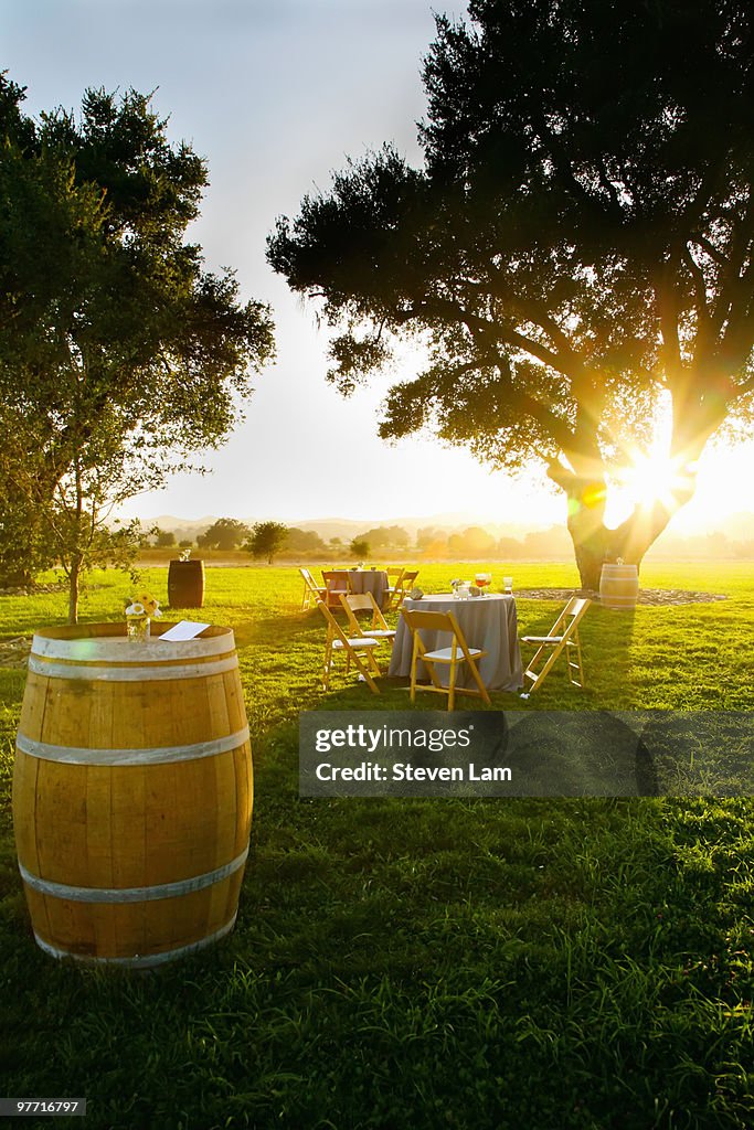 Outdoor Jewish Wedding Reception, Winery