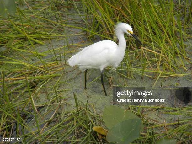 gone fishing - gone fishing stock pictures, royalty-free photos & images