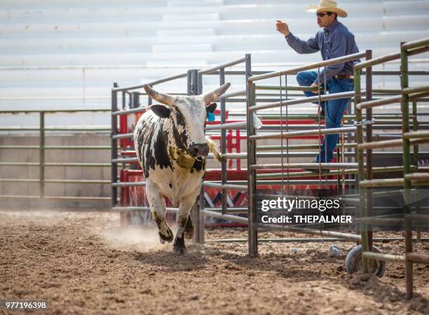 Running Rodeo Stock 666 The Jokers Wild Stock Photos, High-Res Pictures, and Images - Getty ...