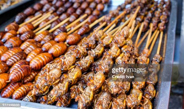 strange weird chinese, foods, roast, grill, skewer insect bbq, cicada, coocoon and cricket - beihai park stockfoto's en -beelden