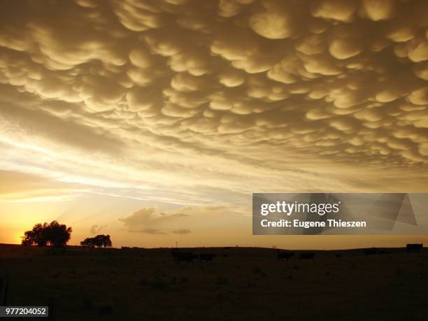 clouds at sunset, oklahoma, usa - mammatus cloud stock pictures, royalty-free photos & images
