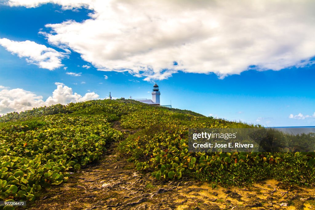 Lighthouse on green hill, Arecibo, Puerto Rico