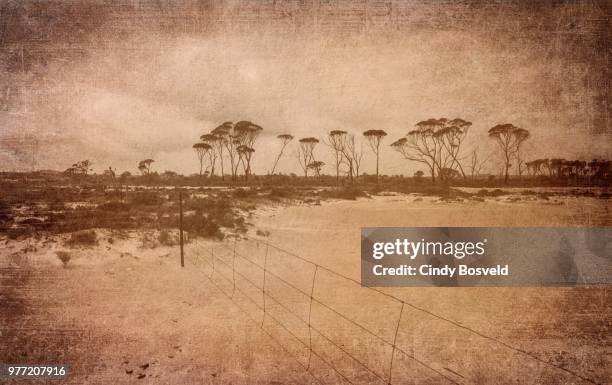 quairading, western australia - western australia crop stockfoto's en -beelden