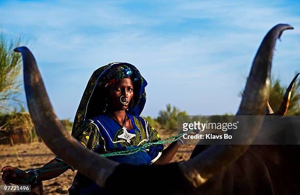 Woman tending to cattle in the desert village of Nguel Hanagambjo. According to the United Nations, a poor rainy season has created food shortages...