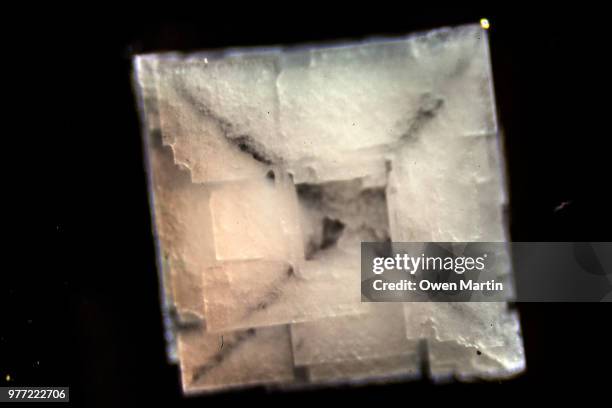 Exploded Microscope Broken Microscope Fotografías e imágenes de stock - Getty Images