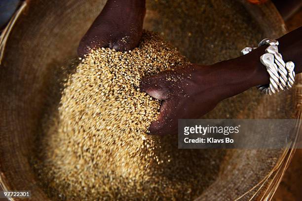 Woman's hands preparing millet in the desert village of Nguel Hanagambjo. Niger is one of the poorest countries in the world according to the United...