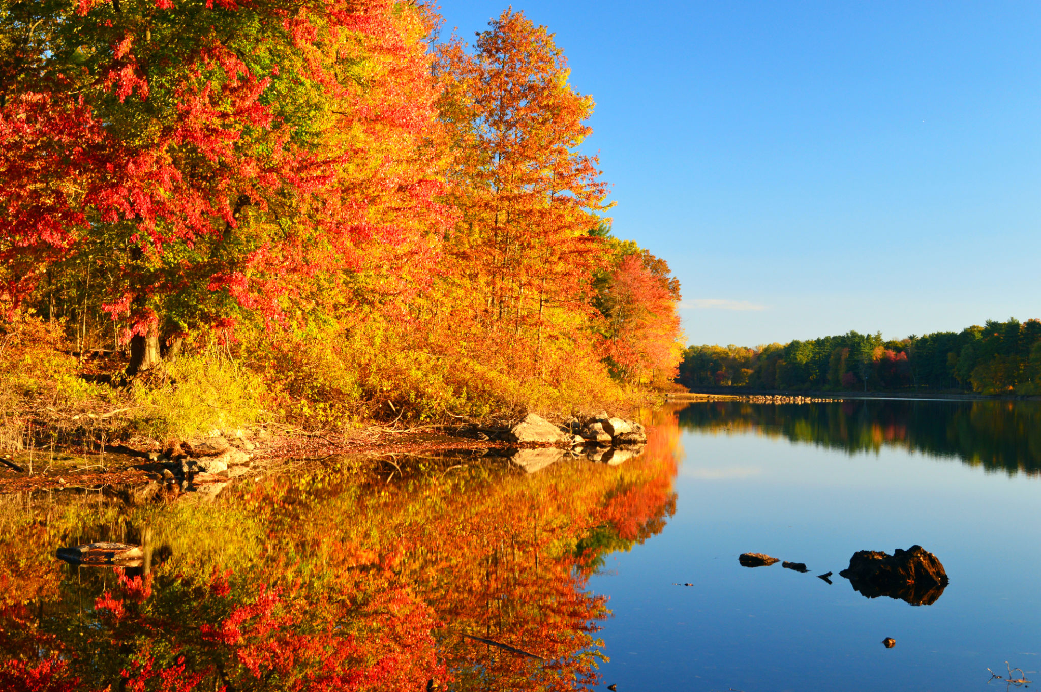 fall leaves Connecticut