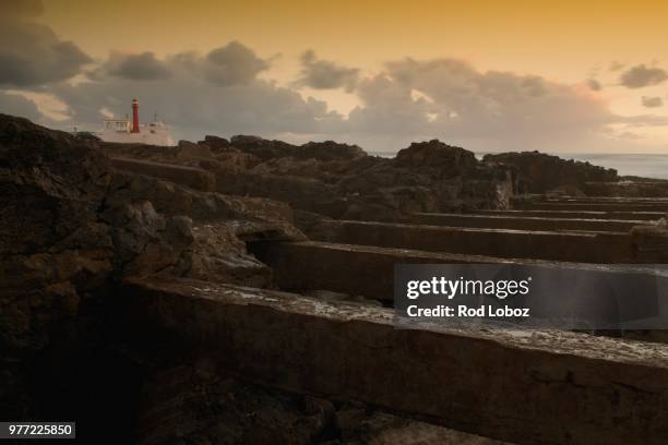 Bas Raso 3,972 Raso Stock Photos, High-Res Pictures, and Images - Getty Images
