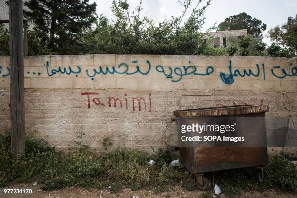In the streets it is easy to find graffiti with the name of the Tamimi. Ahed Tamimi has been in prison since December 2017, she is a teenage activist...