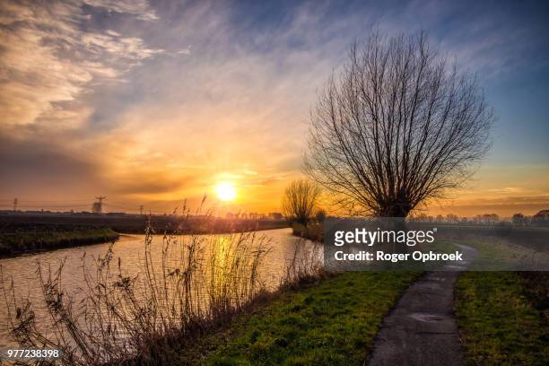 rural landscape at sunset, drimmelen, north brabant, netherlands - riverbank stock pictures, royalty-free photos & images
