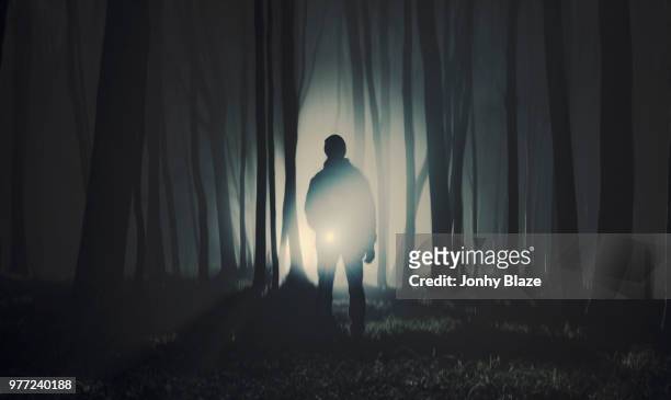 silhouette of man standing in dark forest - dark forest fotografías e imágenes de stock