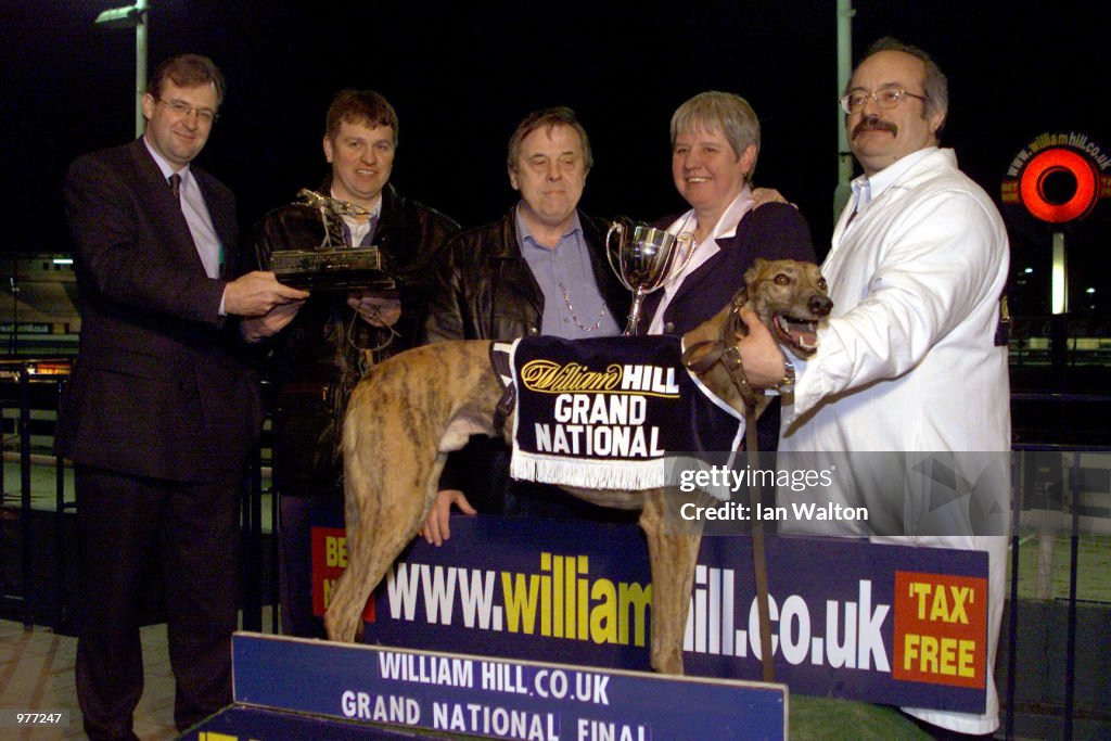 Greyhound Grand NatX