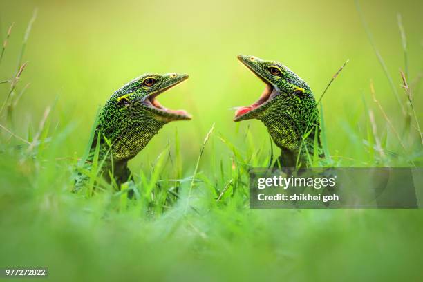 34,648 Goh Photos and Premium High Res Pictures - Getty Images 34,648 Goh Photos and Premium High Res Pictures - Getty Images