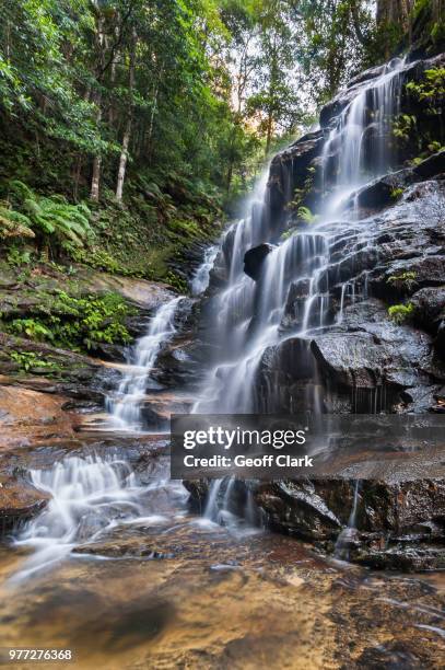 wentworth falls, sydney, new south wales - katoomba falls stock pictures, royalty-free photos & images