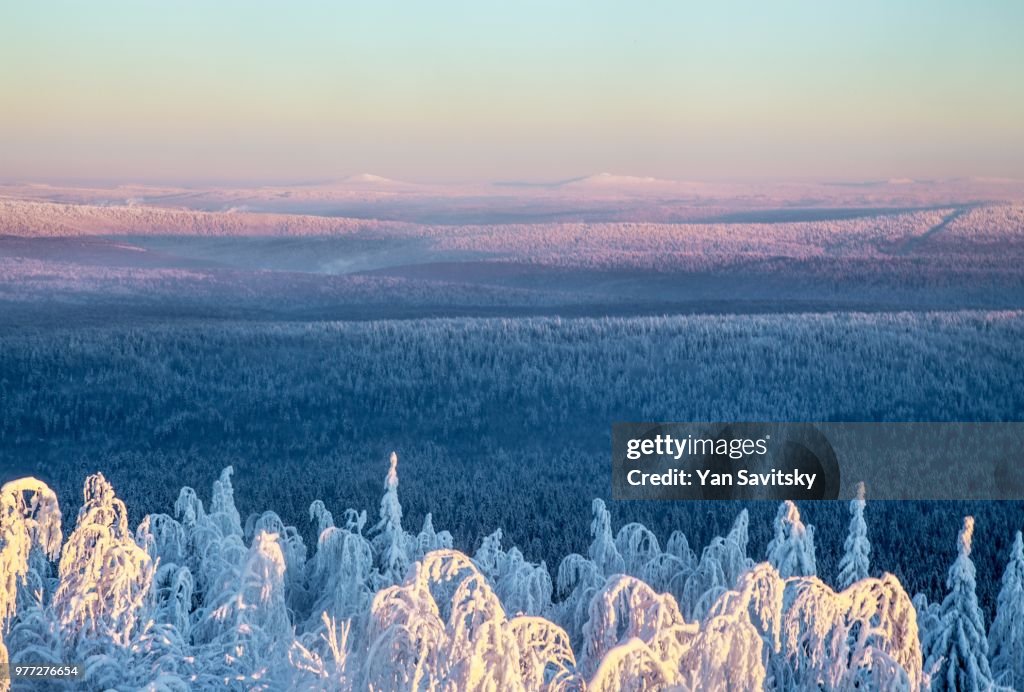 Taiga landscape, Gubakha, Perm Krai, Russia