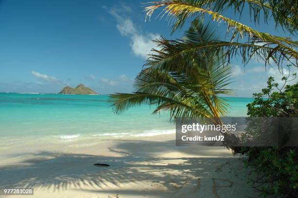 Lani-kai　GENiS 29 Lani Kai Stock Photos, High-Res Pictures, and Images - Getty Images