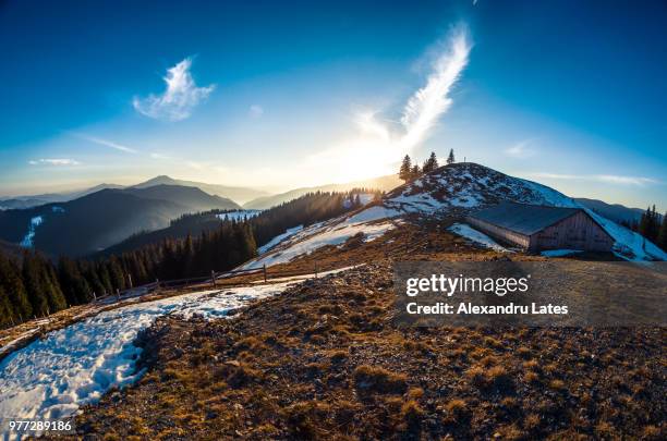 rolling landscape on sunny day, bucovina, romania - bukovina stock pictures, royalty-free photos & images