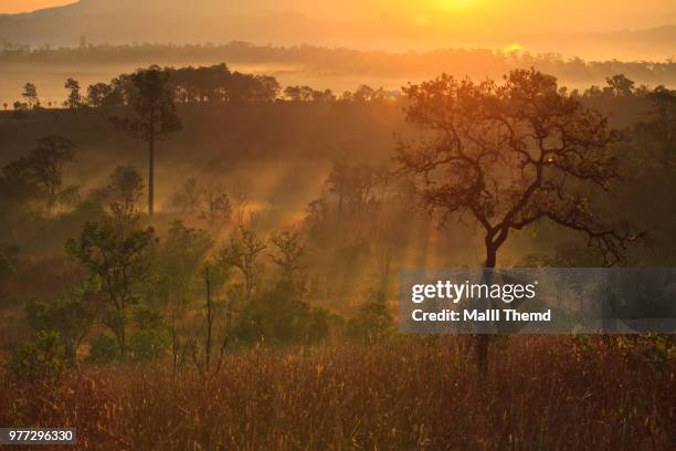 147 Thung Salaeng Luang National Park Stock Photos, HighRes Pictures