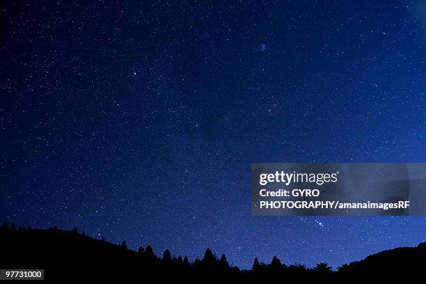 Starlit Starlit Sky Photos and Premium High Res Pictures - Getty Images
