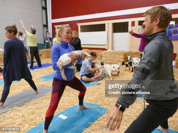 April 2018, US, San Francisco: Briton Emma Stanier and her husband Patrick take part in the goat yoga class.. Some Yoga fans are in constant search...