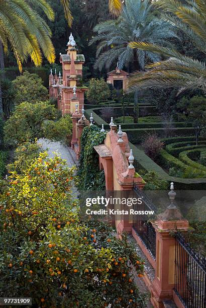 seville, andalusia, spain, alcazar palace gardens - krista rossow stock-fotos und bilder