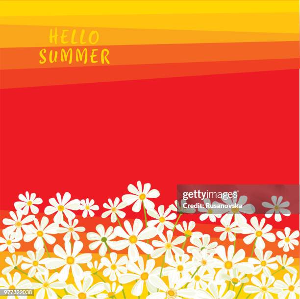 hallo sommer. daisy-karte. - hello summer stock-grafiken, -clipart, -cartoons und -symbole